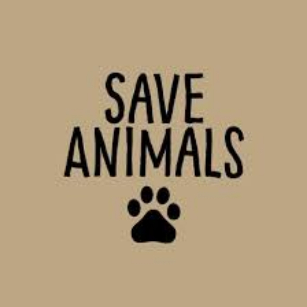FUR BABIES NEED YOUR HELP! - Picture 3 of 16